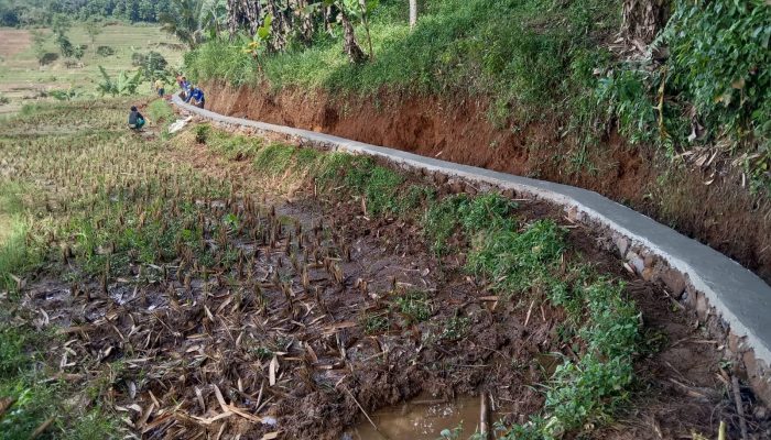 Masyarakat Desa Sadarkarya Apresiasi Baik Proyek Saluran Irigasi yang di kerjakan CV. SANTIKA JAYA