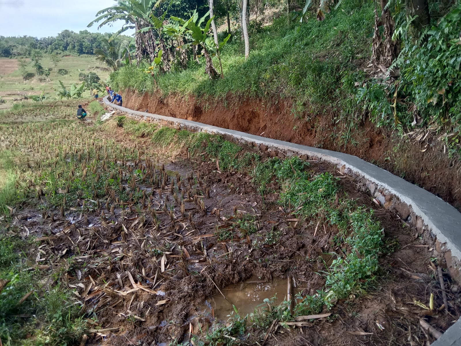 Masyarakat Desa Sadarkarya Apresiasi Baik Proyek Saluran Irigasi yang di kerjakan CV. SANTIKA JAYA