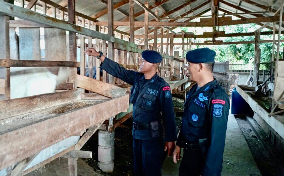 Personel Brimob Tinjau Gudang Bulog Dan Sambangi Peternak Di OKU Timur