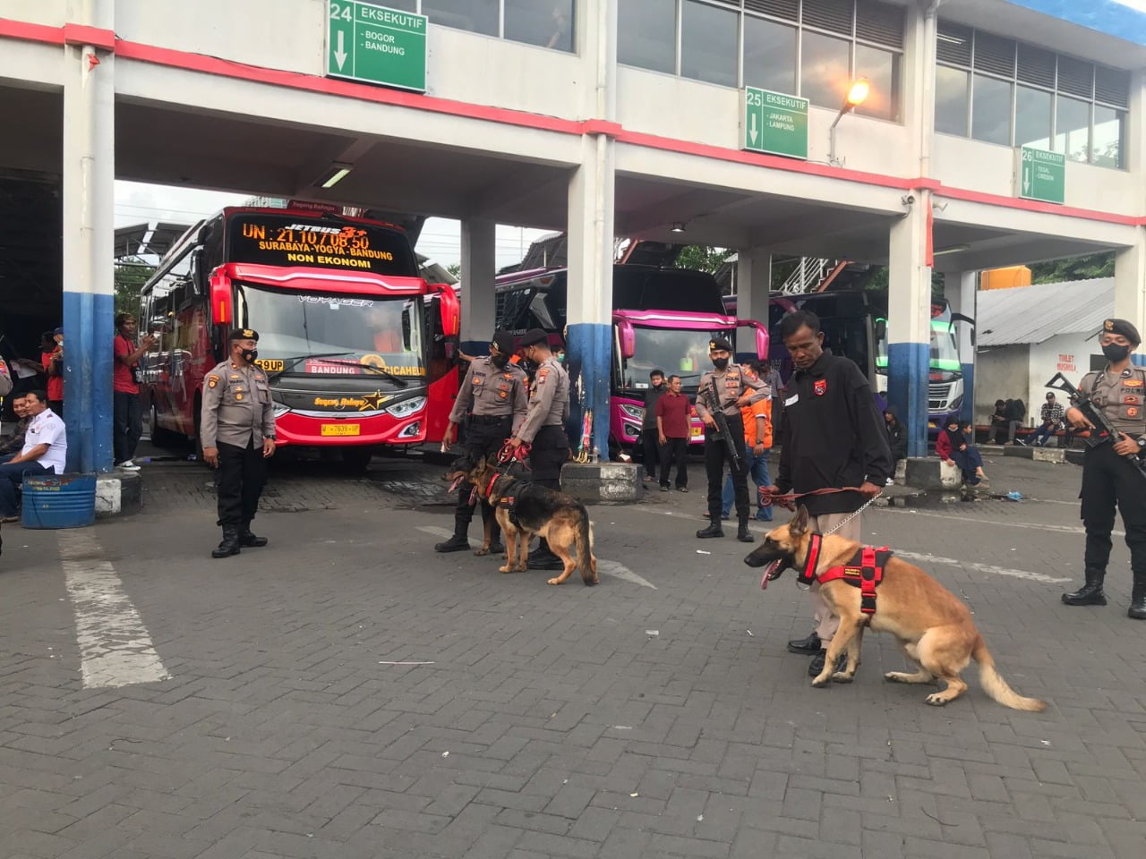 Polresta Sidoarjo Siagakan Anjing Pelacak Jelang Nataru