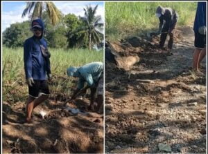 Diduga Asal Jadi dan Amburadul, Pengerjaan Proyek CV Cemara Perkasa Dua, disoroti LSM.