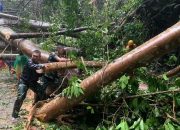 Akses Jalan Poros Maros-Bone Terputus, Prajurit Kostrad Turun Ke Jalan