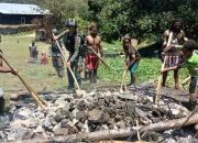 Bakar Batu Kampung Dambet, Yonif R 303 Sambut Tahun Baru Dengan Warga