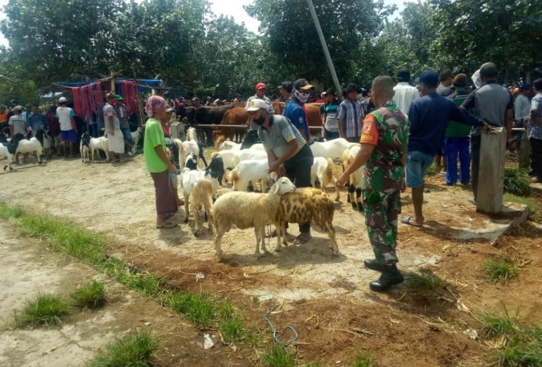 Cegah Kemacetan, Babinsa Koramil 0822/01 Bantu Atur Lalulintas di Pasar Hewan