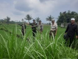 Diduga Ada Pemalsuan Data dan Terjadi Tindakan Penyerobotan Tanah di Dusun Karang Malang Desa Tegal Pasir