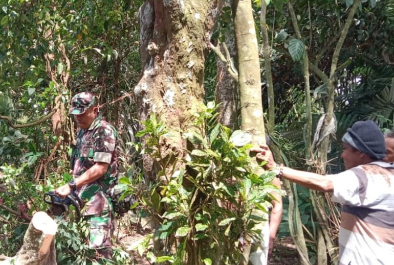 Demi Keselamatan Warga Babinsa Koramil Tlogosari Turut Tebang Pohon