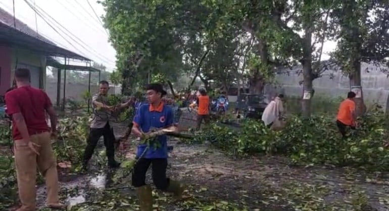 Anggota Polres Bondowoso Bersama BPBD Dibantu Warga Evakuasi Pohon yang Tumbang