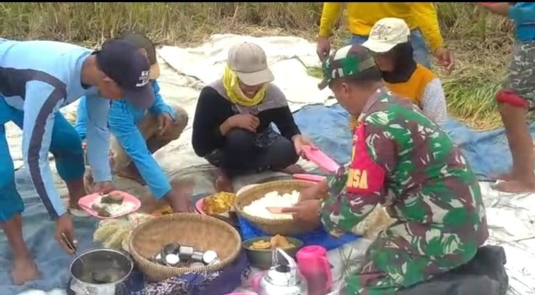 Serda Fathurrozi Makan Bersama Petani Di Sawah, Saat Bantu Panen