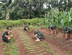 Brigif Para Raider 17/Sbb Kujang I Kostrad Mengadakan Budidaya Pohon Cabe