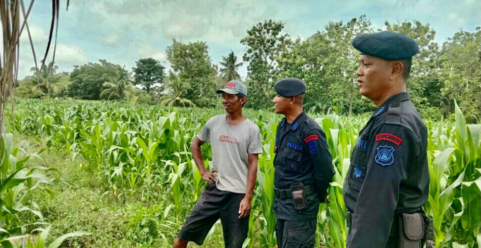 Patroli Dialogis, Brimob Sumsel Kunjungi Dua Desa di Kecamatan Belitang Mulya