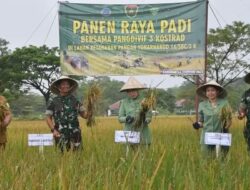 Hasil Program Ketahanan Pangan, Yonarhanud 16 Kostrad Panen Raya Bersama Pangdivif 3 Kostrad