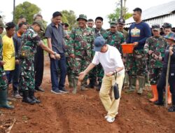 Pembekalan dan Keterampilan Penanaman Wijen dan Padi Japonica, Kaskostrad Mayjen TNI Muhammad Nur Rahmad Tinjau Lahan Ketahanan Pangan