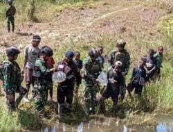 Gizi Terpenuhi Pendapatan Bertambah Di Nduga, Sambut HUT Kostrad Ke-62 Bibit Ikan Dari Prajurit Kostrad