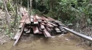 Konsorsium Mahasiswa Merdeka Menanggapi Ilegal Loging di Desa Larowiu Kec. Meluhu Kab. Konawe.