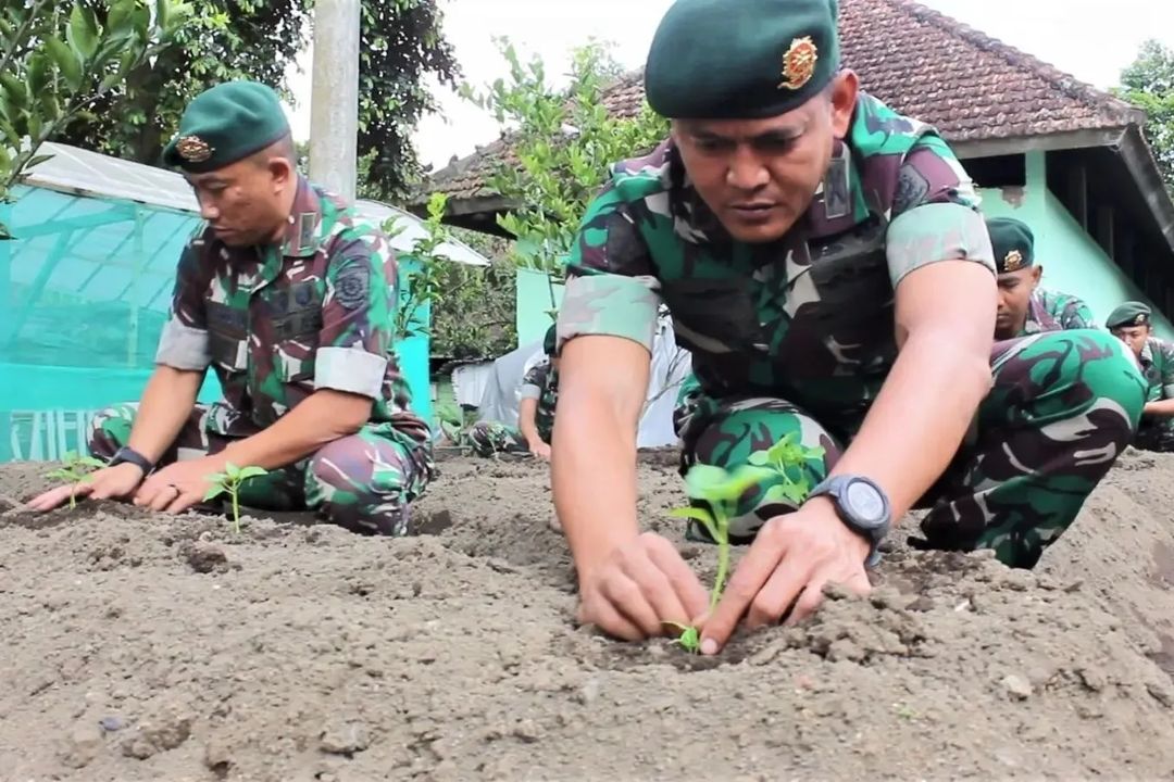 Bertani di Perkotaan Salah Satu Program Ketahanan Pangan, Menarmed 2 Kostrad Bersama Warga Manfaatkan Lahan Kosong