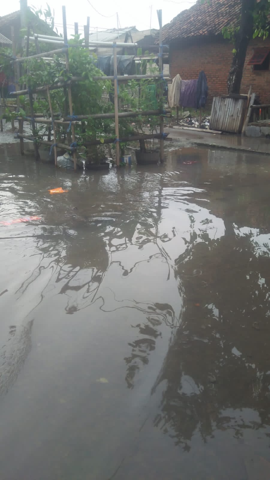 Dilanda Hujan Lebat komplek    Kp cabang Lio 04/04 karang asih Cikarang utara Terendam Banjir
