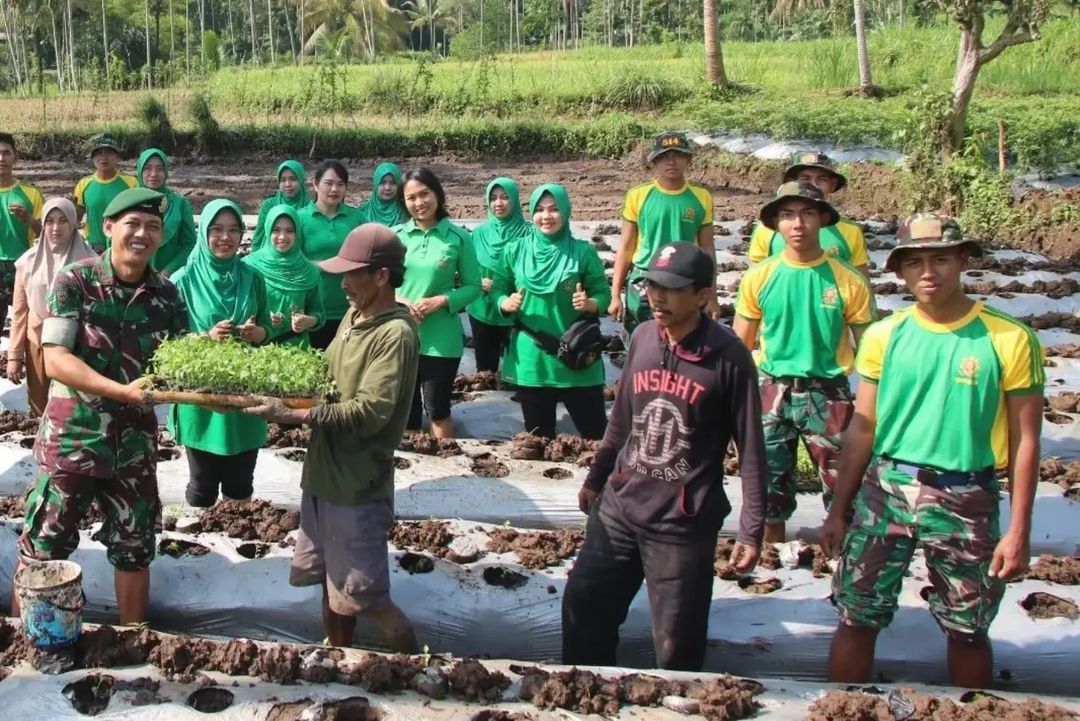 Budi Daya Cabe Salah Satu Program Ketahanan Pangan Yonif R 514 Kostrad Gandeng Warga Gading Sari