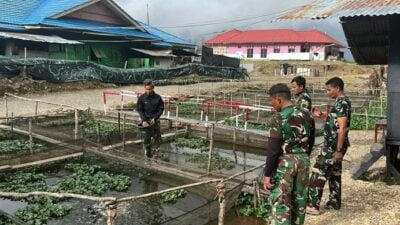 Bermula Dari Youtube, Prajurit Tengkorak Mampu Membuat Rumah Produksi Tempe di Pegunungan Papua