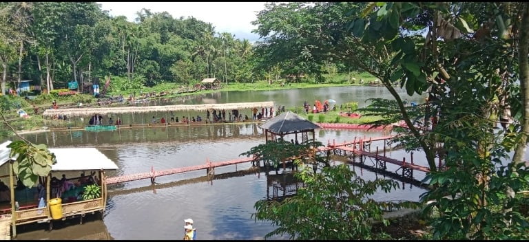 Wisata Almour Dihidupkan Lagi Dengan Menggelar Lomba Pancing