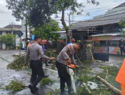 Sigap, Polisi Tangani Pohon Tumbang di Jagalan, Lalulintas Trenggalek – Ponorogo Kembali Normal