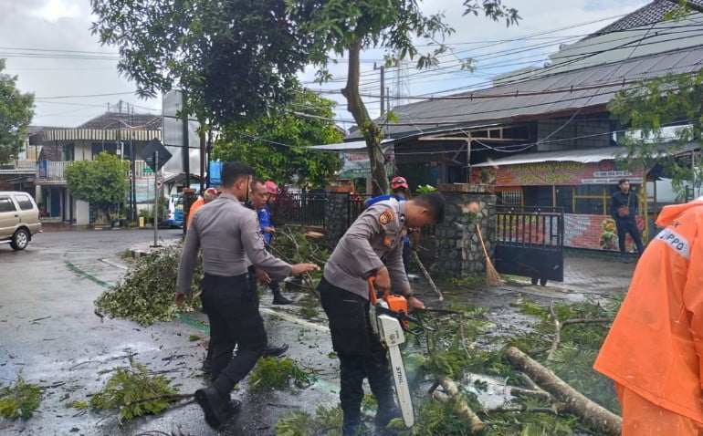 Sigap, Polisi Tangani Pohon Tumbang di Jagalan, Lalulintas Trenggalek – Ponorogo Kembali Normal