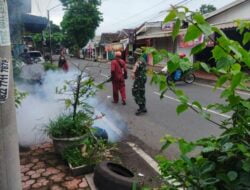 Cegah Penyebaran Demam Berdarah, Dua Babinsa Koramil 0822/01 Dampingi Kegiatan Fogging