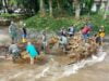 Pasca Banjir di Desa Pancoran, Danramil 0822/01 Bondowoso Bersama Anggota Bantu Warga Betulkan TPT