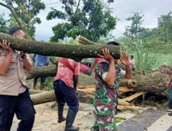 Respon Cepat Polisi Bersama TNI dan BPBD Tangani Pohon Tumbang, Lalulintas Kembali Normal  