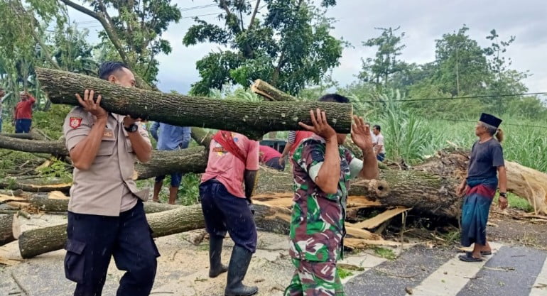 Respon Cepat Polisi Bersama TNI dan BPBD Tangani Pohon Tumbang, Lalulintas Kembali Normal  