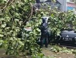 Cuaca Ektrem Hujan Dan Angin Kencang Menumbang Kan Pohon Hingga Menimpa Dua ( 2 ), Mobil Di Depan Desa Sumber Jaya,