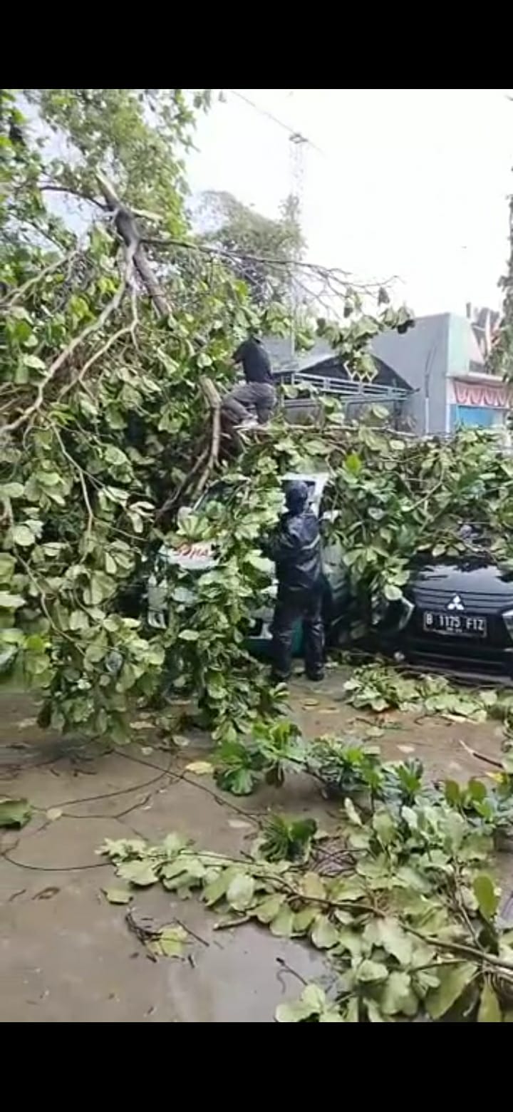 Cuaca Ektrem Hujan Dan Angin Kencang Menumbang Kan Pohon Hingga Menimpa Dua ( 2 ), Mobil Di Depan Desa Sumber Jaya,