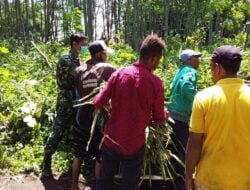 Sebagai Kegiatan Sosial, Babinsa Serma Dwi Bantu Warga Angkat Pakan Ternak