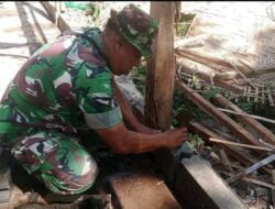 Kerja Nyata!!! Bentuk Kemanunggalan TNI Dan Rakyat,Babinsa Bantu Bangun Rumah Warga Binaan