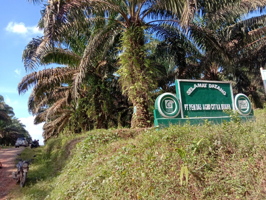 Warga Pali Akan Lakukan Aksi Demo Terkait Lahan Sawit Yang Belum Diserahkan Pemkab Muara Enim