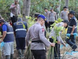 Sinergitas TNI – Polri di Trenggalek Tanam Mangrove Cegah Abrasi Wujudkan Habitat Laut Yang Asri