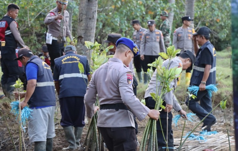 Sinergitas TNI – Polri di Trenggalek Tanam Mangrove Cegah Abrasi Wujudkan Habitat Laut Yang Asri