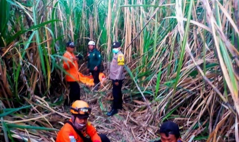 Polisi Bersama BPBD dan Warga Berhasil Temukan Lansia Yang Dikabarkan Hilang di Lahan Tebu Situbondo