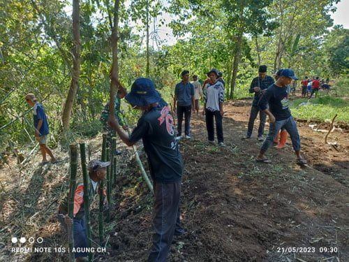 Pembukaan Jalan Alternatif Baru di Desa Sempol Bondowoso, Harapkan Petani Mampu Tingkatkan Ekonomi