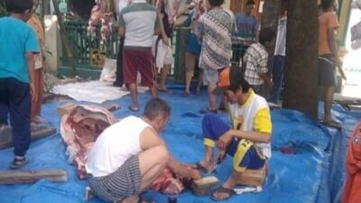 7 (Tujuh)  Hikmah dan Keutamaan Qurban