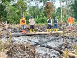 kembali ditemukan Adanya Titik Hotspot kebakaran Hutan dan Lahan (karhutla) di Talang Sungai Mang Desa Suka Damai