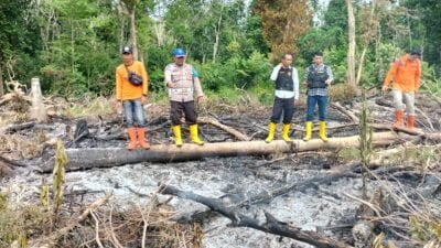 kembali ditemukan Adanya Titik Hotspot kebakaran Hutan dan Lahan (karhutla) di Talang Sungai Mang Desa Suka Damai