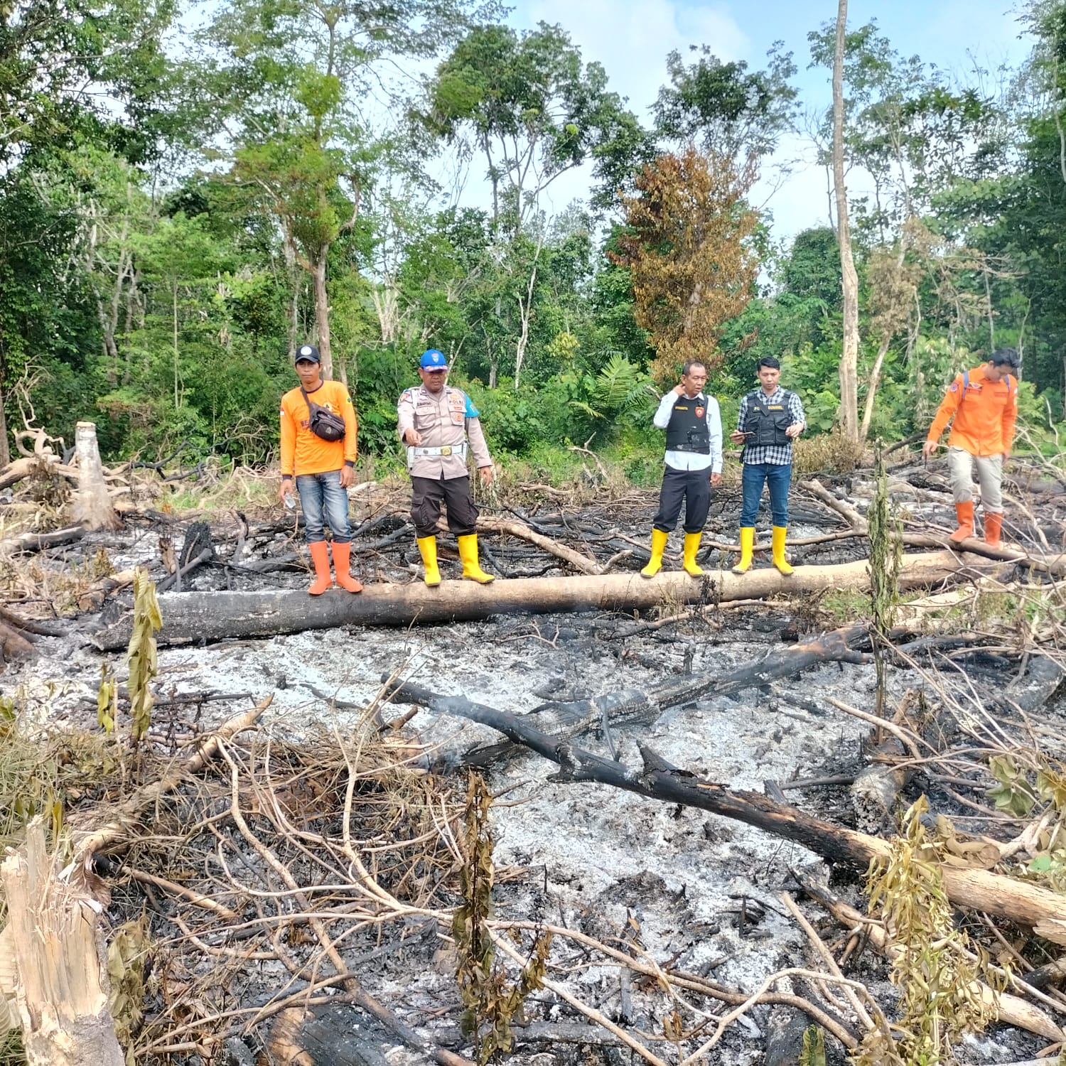 kembali ditemukan Adanya Titik Hotspot kebakaran Hutan dan Lahan (karhutla) di Talang Sungai Mang Desa Suka Damai