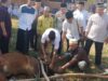 Polres Pali Potong 4 Ekor Hewan Qurban