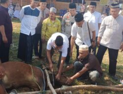 Polres Pali Potong 4 Ekor Hewan Qurban