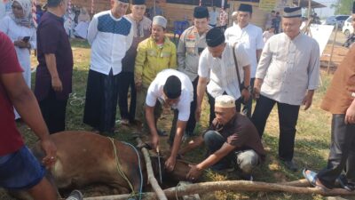 Polres Pali Potong 4 Ekor Hewan Qurban