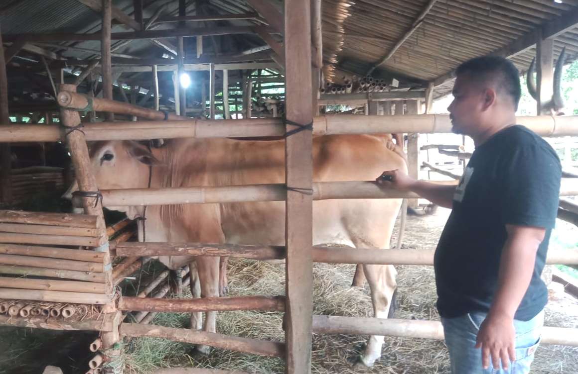 Jelang Idul Adha, Penjualan Hewan Kurban di Bojongmangu Meningkat