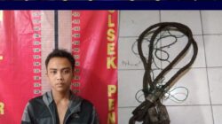 Peri Irawan (24) Berprofesi Sebagai Sopir Truk Angkutan Batubara Ini ditangkap Polisi Atas Dugaan kasus Tindak Pidana Pencurian Sling Baja Milik PT. EPI.