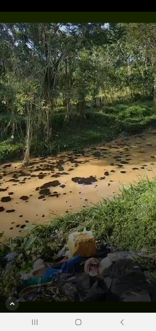 Heboh Sepanjang Aliran Sungai Kelekar Di Cemari Oleh Minyak Menta