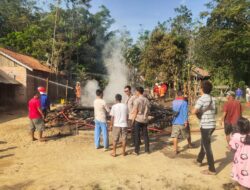 Sijago Merah Mengamuk, Hanguskan Satu Rumah