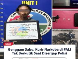 WD Bin IW (21) Warga Pali Terduga Kurir Sabu-Sabu Di Amankan Satres Narkoba Polres Pali